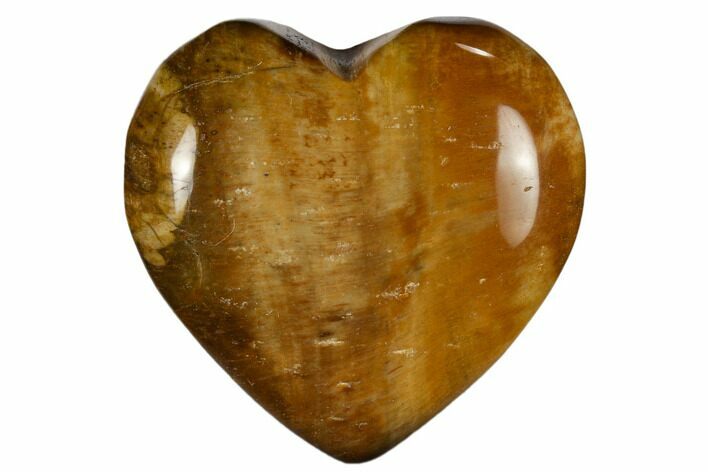 Polished, Triassic Petrified Wood Heart - Madagascar #115514